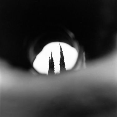 Down the Barrell