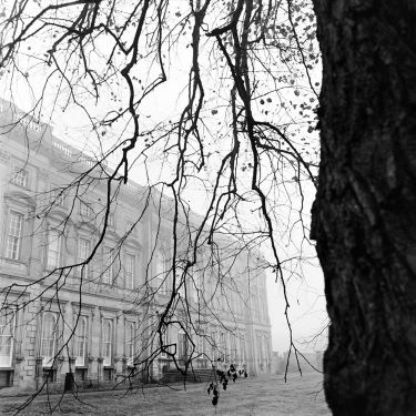 Hall & Branches