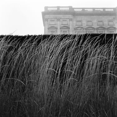 Hall & Grasses