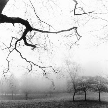 Reaching Branch
