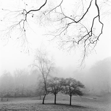 Reaching Branch #2