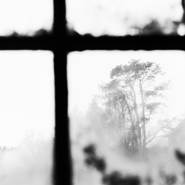 Window View
